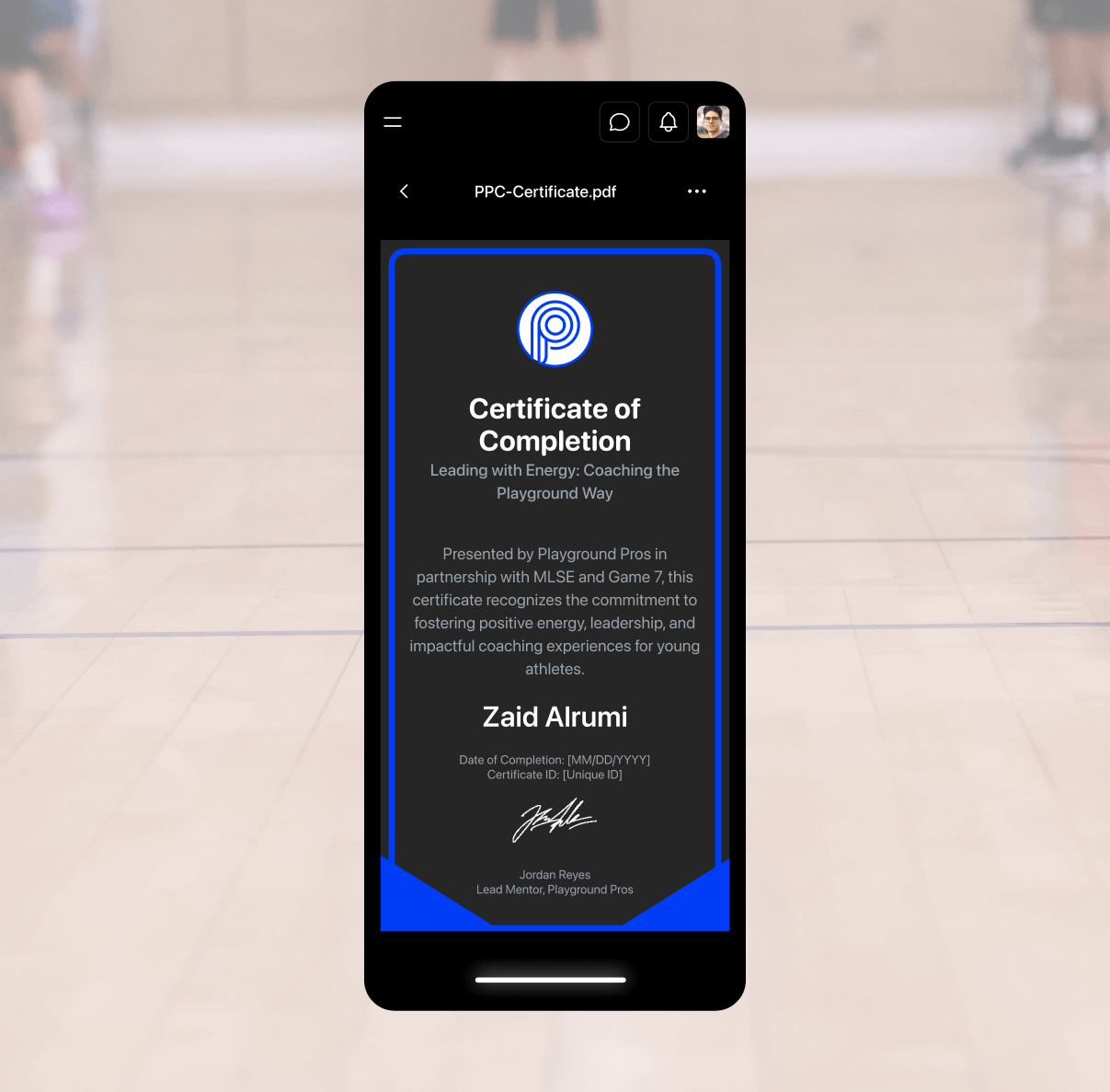 Playground Pros 7 Playground Pros 7