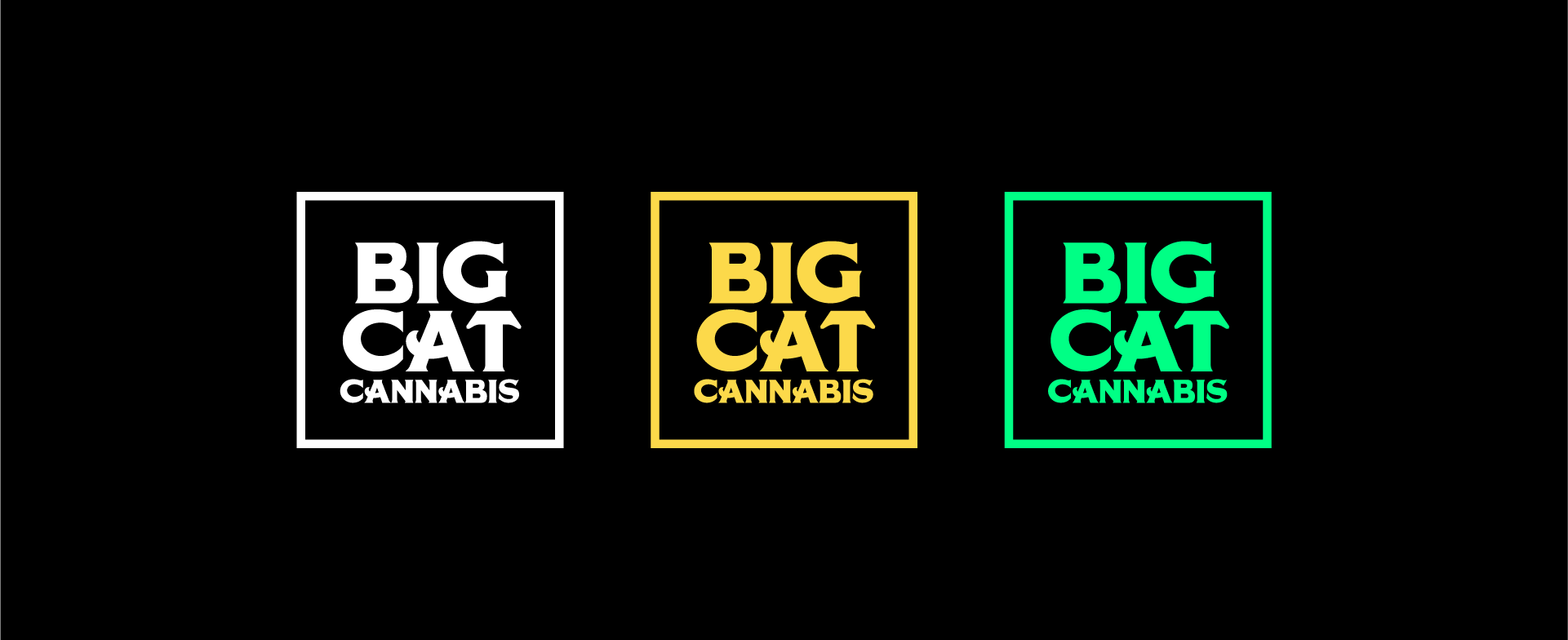 Artboard 1 copy 6-8 Artboard 1 copy 6-8